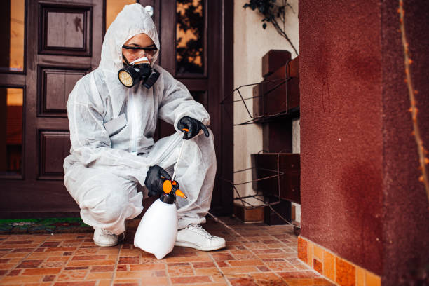 Reliable Wasp Removal contractor in Swepsonville, NC by Show Me Pest Control